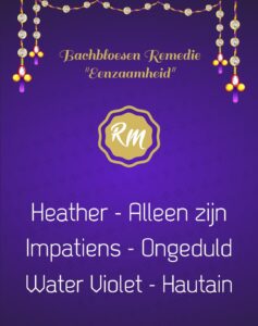 Remedie Eenzaamheid Praktijk Raison Manon