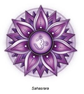 Kruinchakra Energetische Holistiche Therapie en Coaching Raison Manon