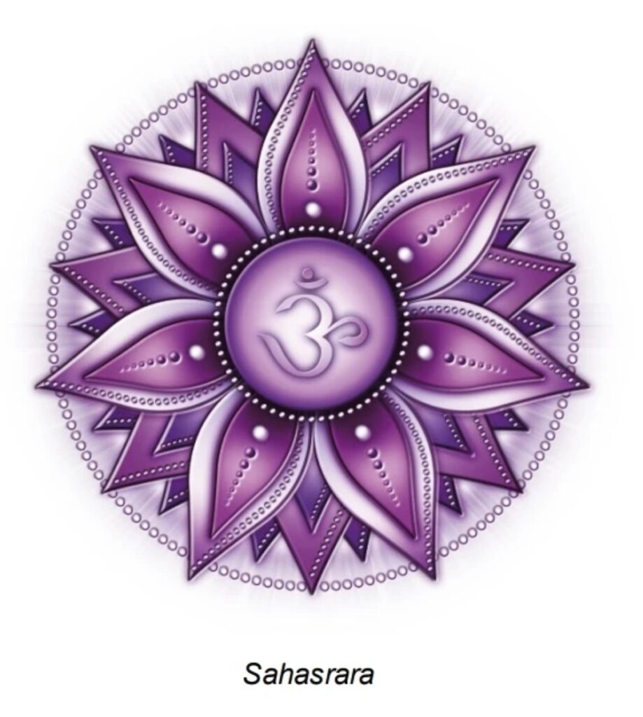Kruinchakra Energetische Holistiche Therapie en Coaching Raison Manon